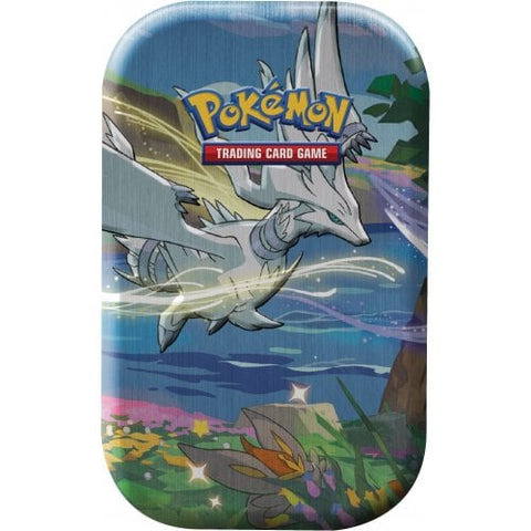 Pokemon TCG Shining Fates Mini Tin - Reshiram & Shiny Cinderace